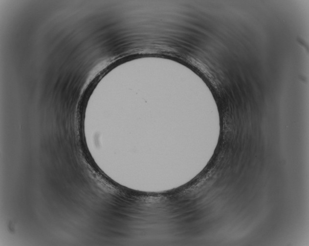 X0000091451122200709131710