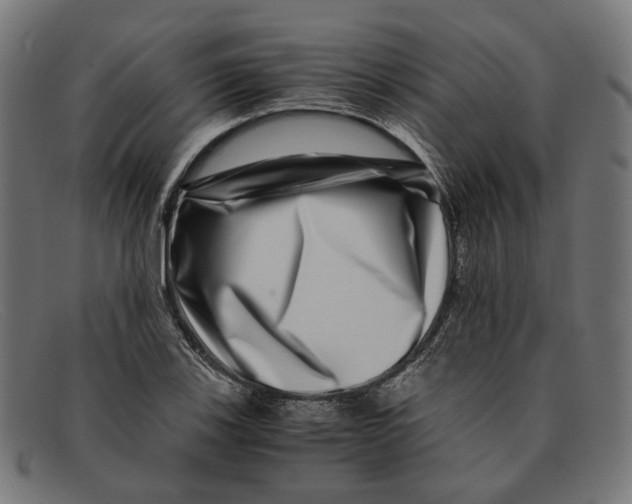X0000091451123200709131710