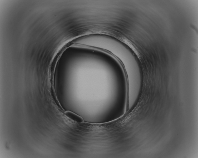 X0000091451124200709131710