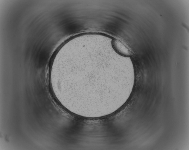 X0000091451126200709131710