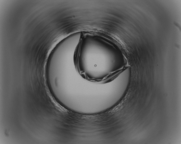 X0000091451128200709131710
