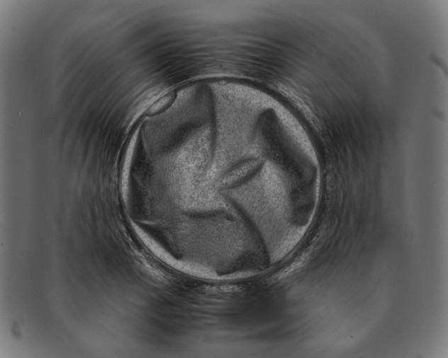 X0000091451129200709131710
