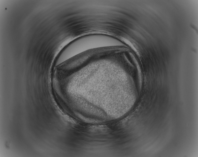 X0000091451133200709131710