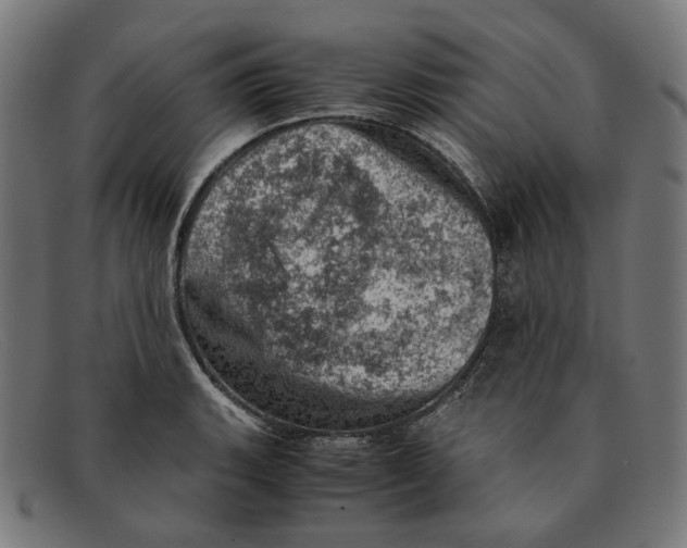X0000091451135200709131710