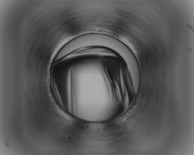 X0000091451136200709131710