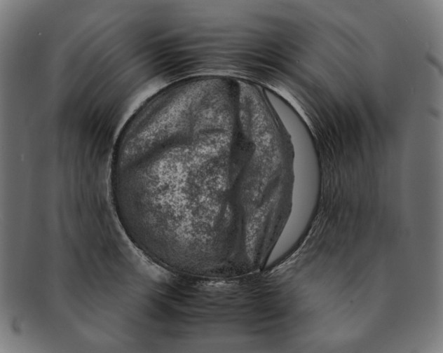 X0000091451139200709131710