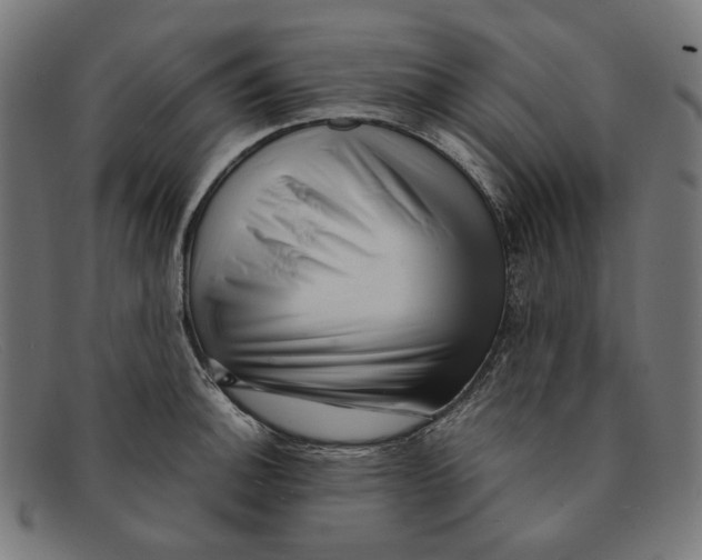 X0000091451140200709131710