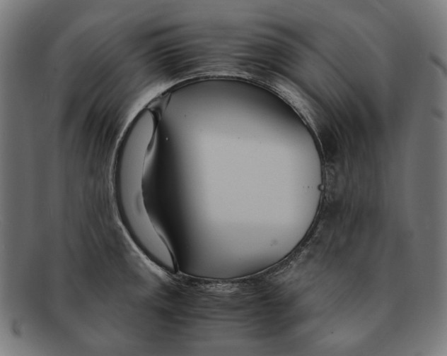 X0000091451141200709131710