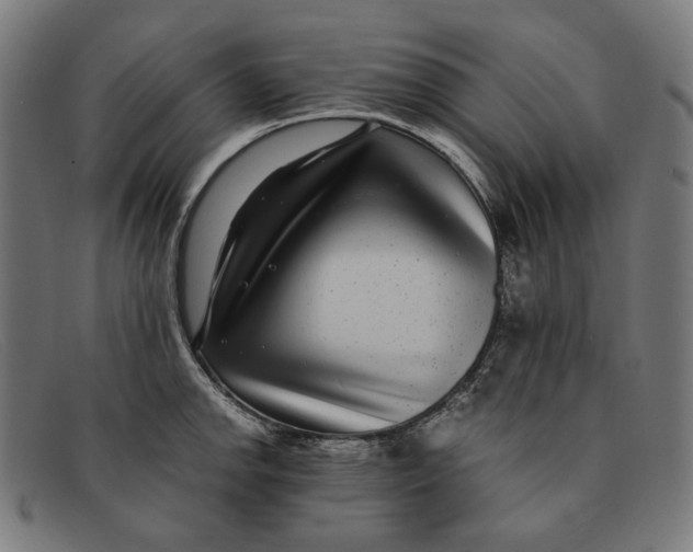 X0000091451142200709131710
