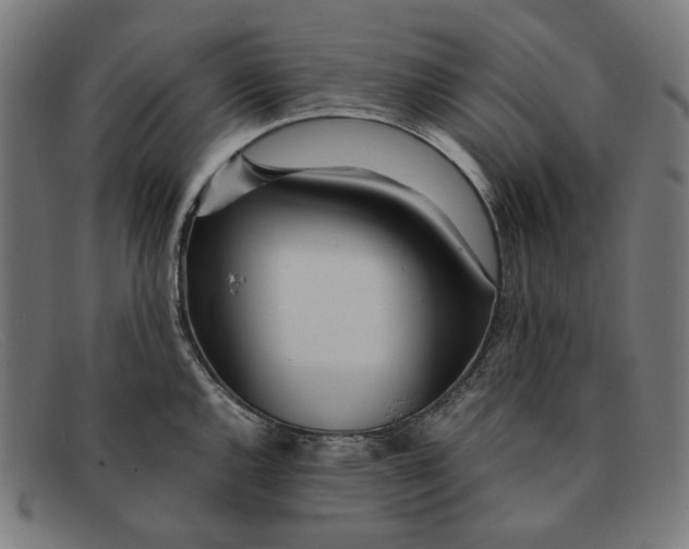 X0000091451144200709131710