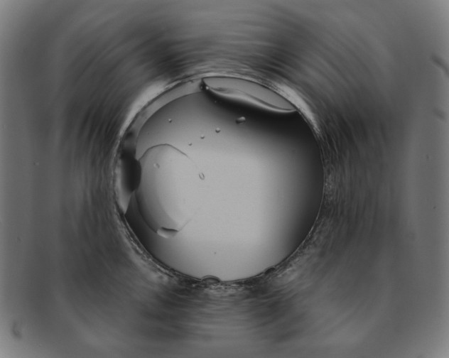 X0000091451146200709131710