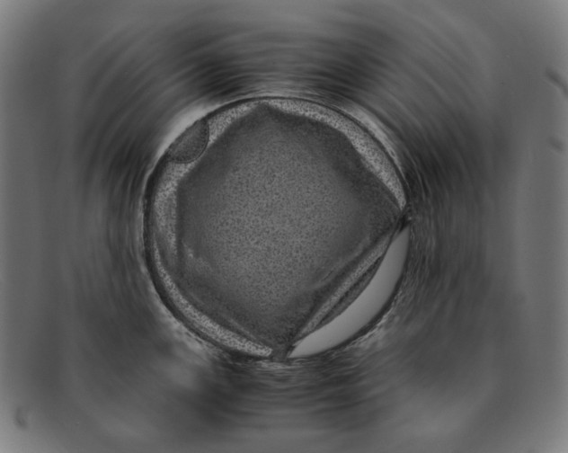 X0000091451147200709131710
