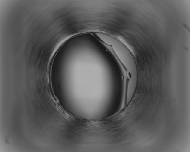 X0000091451148200709131710