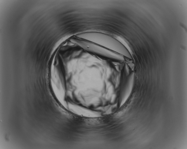 X0000091451149200709131710