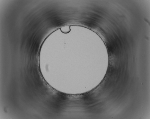 X0000091451150200709131710