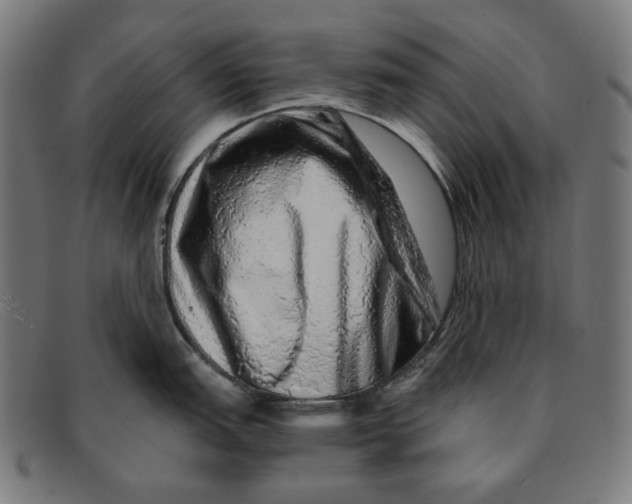 X0000091451151200709131710