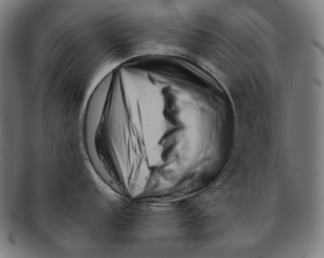 X0000091451152200709131710