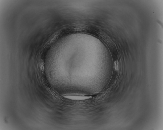 X0000091451155200709131710
