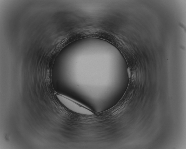 X0000091451156200709131710
