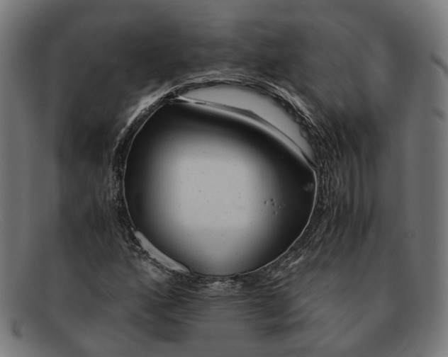 X0000091451160200709131710