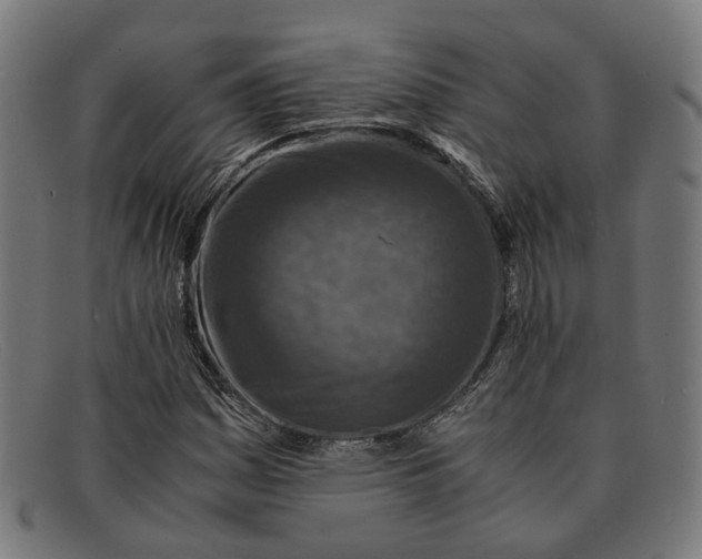 X0000091451161200709131710