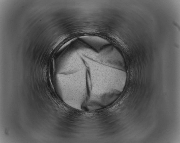 X0000091451162200709131710