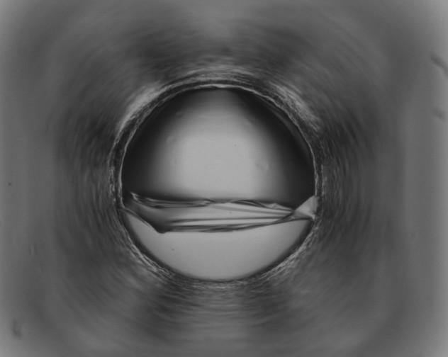 X0000091451164200709131710