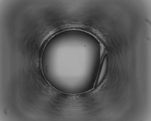 X0000091451165200709131710