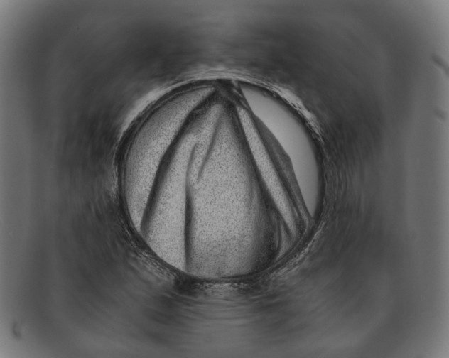 X0000091451167200709131710