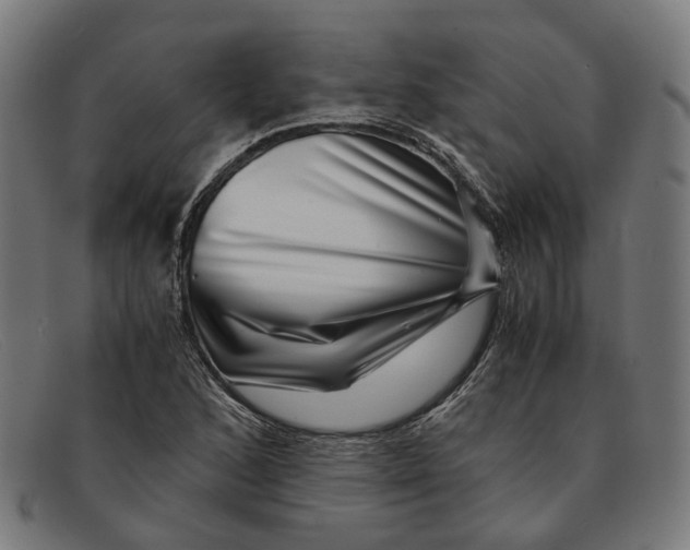 X0000091451168200709131710