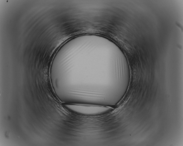 X0000091451170200709131710
