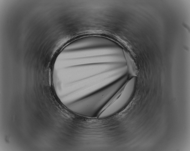 X0000091451171200709131710