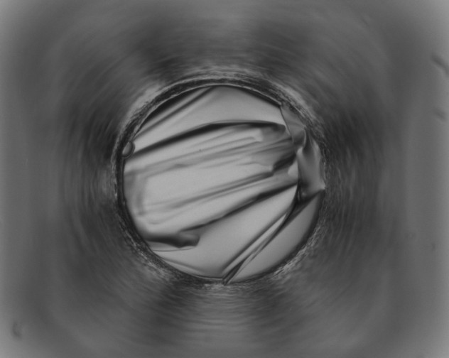 X0000091451172200709131710
