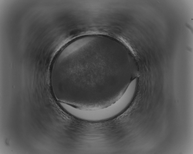 X0000091451173200709131710