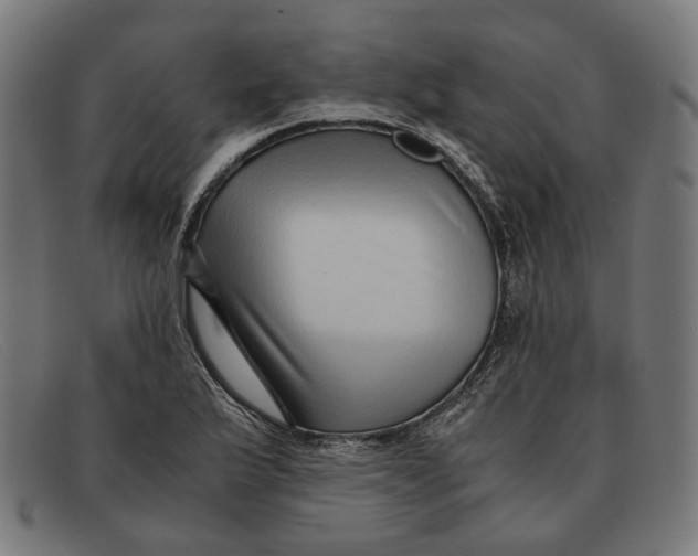 X0000091451175200709131710