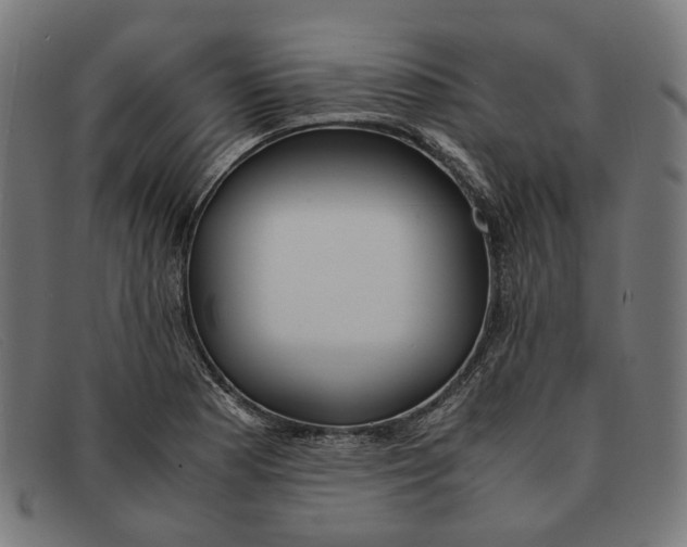 X0000091451177200709131710