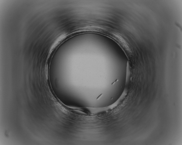 X0000091451180200709131710