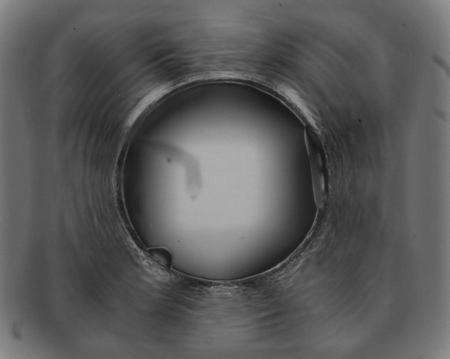 X0000091451181200709131710