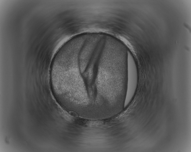 X0000091451183200709131710