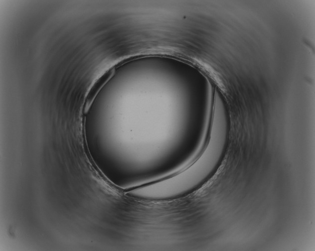 X0000091451184200709131710