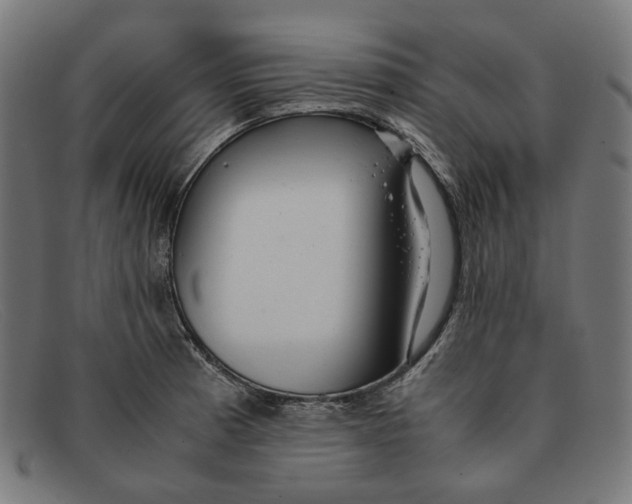 X0000091451185200709131710