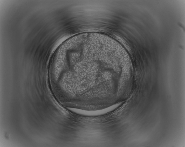 X0000091451187200709131710
