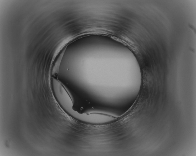 X0000091451188200709131710