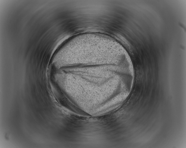 X0000091451190200709131709