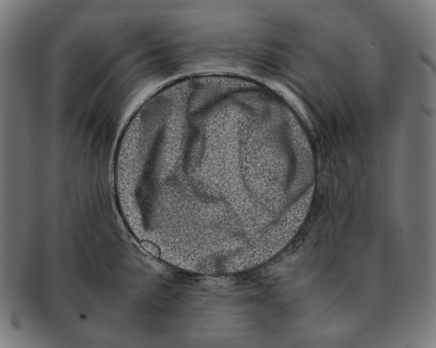 X0000091451191200709131709