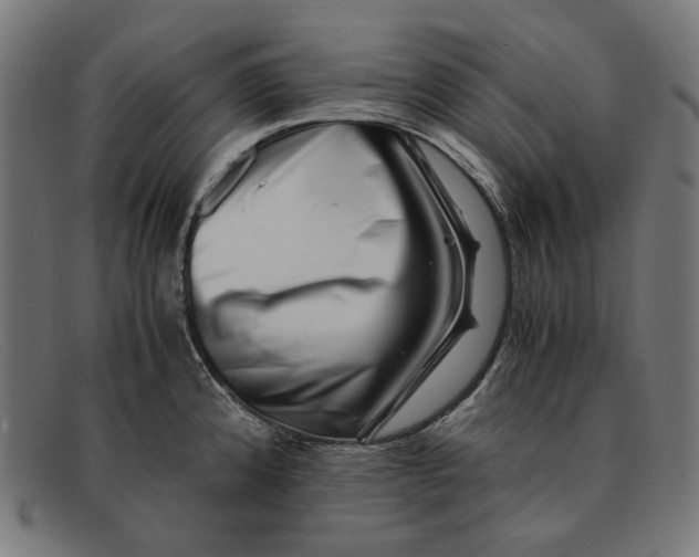 X0000091451192200709131709