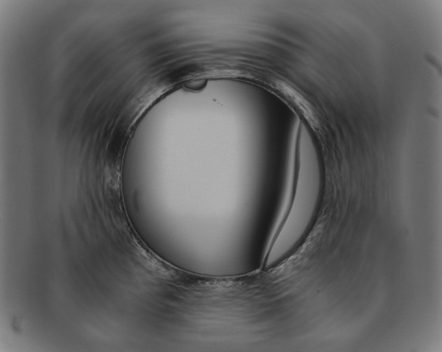 X0000091451193200709131709
