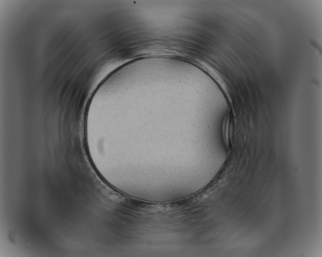 X0000091451195200709131709