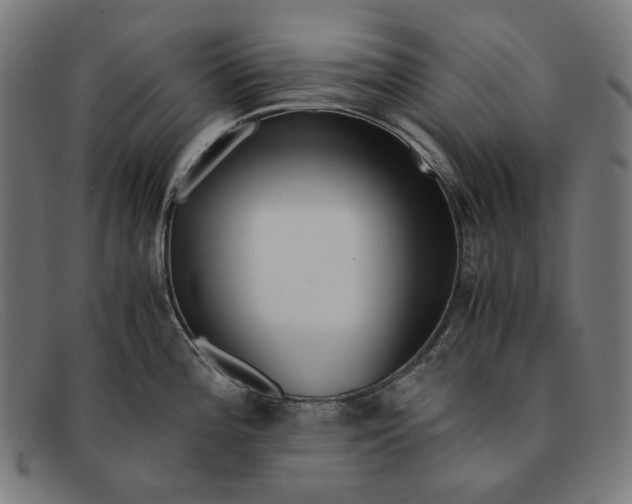 X0000091451196200709131709
