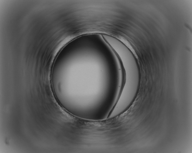 X0000091451197200709131709